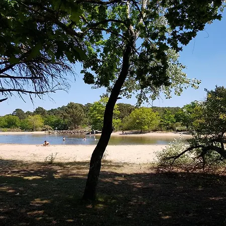 Le P'tit Bassin A Ares, Sur Le Bassin D'arcachon Cote Cap-ferret * Ares
