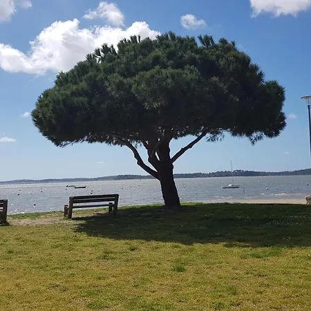 Le P'tit Bassin A Ares, Sur Le Bassin D'arcachon Cote Cap-ferret 阿雷斯